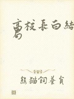 高校长白结大结局