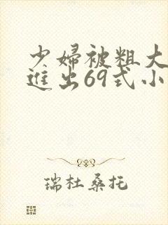 少妇被粗大猛烈进出69式小说