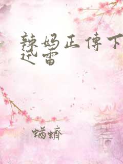 辣妈正传下载 迅雷