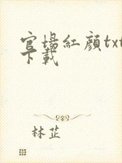 官场红颜txt下载