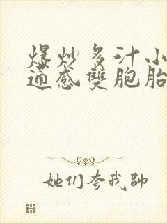 爆炒多汁小美人通感双胞胎