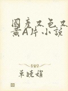 国产又色又爽又黄A片小说