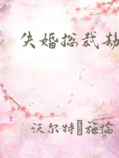 失婚总裁劫前妻