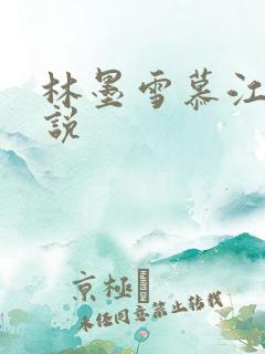 林墨雪慕江行小说