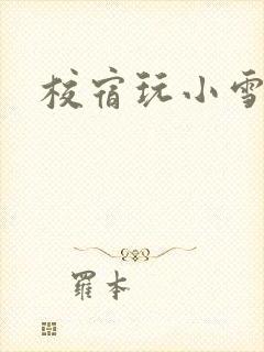 校宿玩小雪
