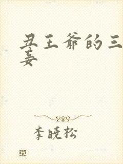 丑王爷的三妻四妾