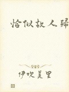 恰似故人归小说