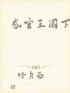 感官王国下载