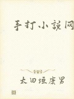 手打小说网