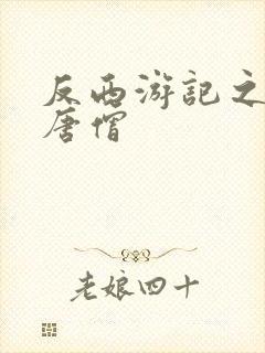 反西游记之混混唐僧