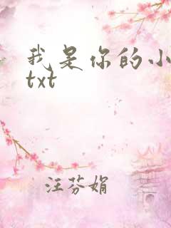 我是你的小小狗txt