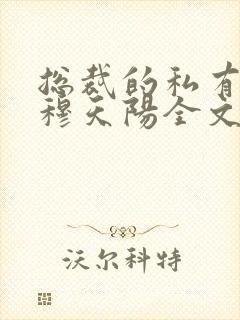 总裁的私有宝贝穆天阳全文阅读