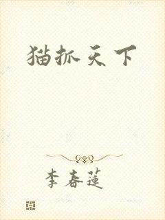猫抓天下