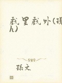 戏里戏外(现场h)