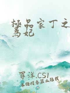 极品家丁之册母为妃