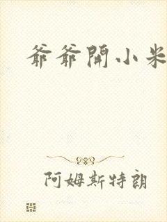 爷爷开小米的处