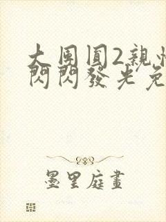 大团圆2亲情会闪闪发光免费