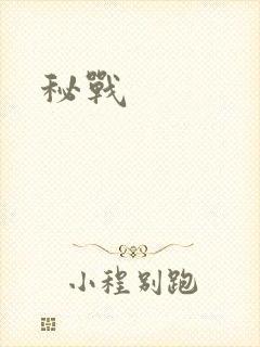 秘战