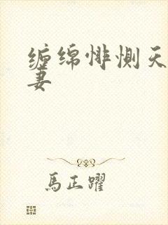 缠绵悱恻天价前妻