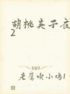 胡桃夹子夜未眠2