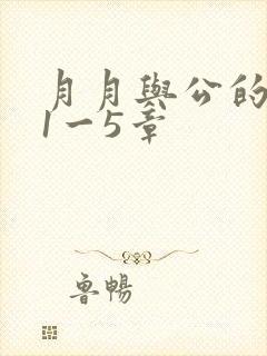 月月与公的激情1一5章