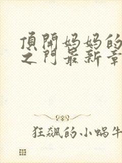 顶开妈妈的生命之门最新章节