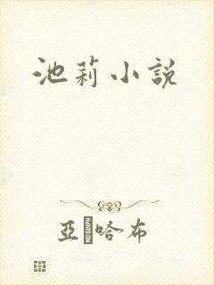 池莉小说
