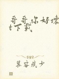 哥哥你好坏txt下载