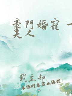 豪门婚宠 一品夫人
