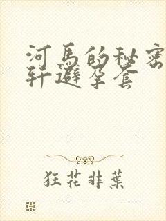 河马的秘密河文轩避孕套