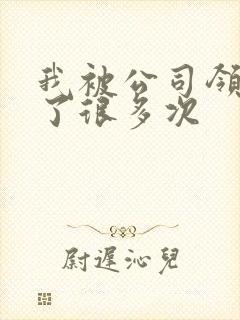 我被公司领导C了很多次