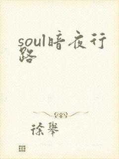 soul暗夜行路