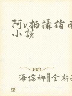 阿v拍摄指南说小说