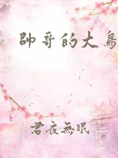 帅哥的大鸟