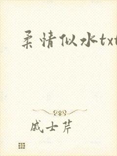 柔情似水txt
