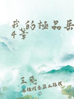 我的极品岳坶34章