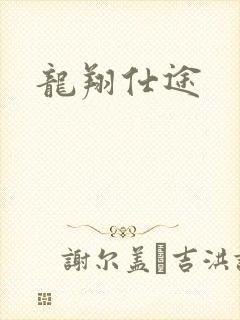 龙翔仕途