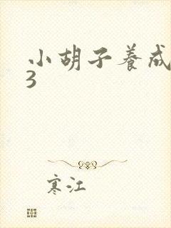 小胡子养成计划3