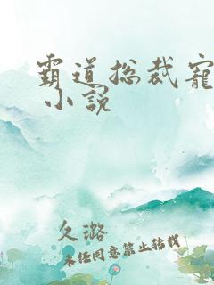 霸道总裁宠上天 小说