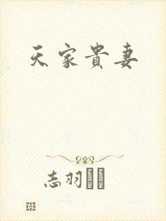天家贵妻