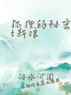 狐狸的秘密txt新浪