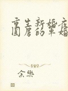 重生新婚夜正在圆房的军婚