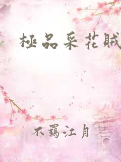 极品采花贼