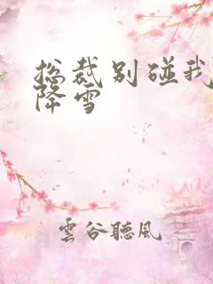 总裁别碰我 韩降雪