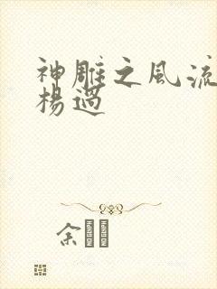 神雕之风流浪子杨过