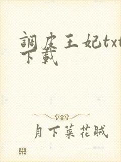 调皮王妃txt下载