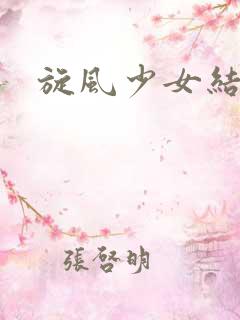 旋风少女结局