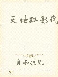 天地孤影我独行