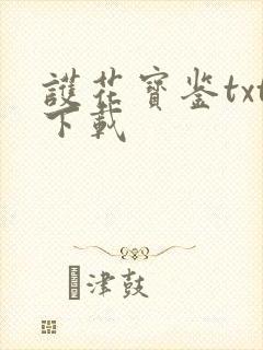 护花宝鉴txt下载