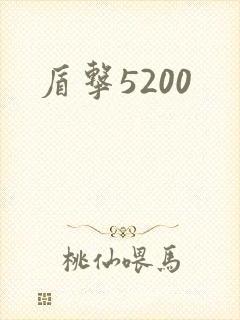 盾击5200